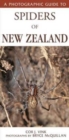 Photographic Guide To Spiders Of New Zealand - Book