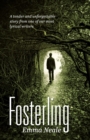 Fosterling - eBook