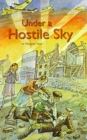 Under a Hostile Sky - Book