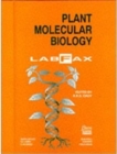 Plant Molecular Biology Labfax - Book