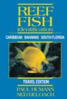 Reef Fish Identification (Travel Edition) : Caribbean, Bahamas, South Florida - Book