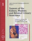 Tumors of the Kidney, Bladder, and Related Urinary Structures - Book