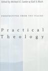 Practical Theology: : Perspectives from the Plains. - Book