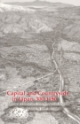Capital and Countryside in Japan, 300–1180 : Japanese Historians Interpreted in English - Book