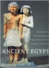 Ancient Egypt : Treasures from the Collection of the Oriental Institute - Book