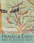 Between Heaven and Earth : Birds in Ancient Egypt - Book