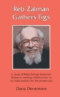 Reb Zalman Gathers Figs : A Study of Rabbi Zalman Schachter-Shalomi's Reading of Biblical Text to Re-Vision Judaism for the Present Day - Book