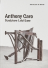 Anthony Caro : Sculpture Laid Bare - Book