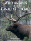 Wild Animals of the Canadian Rockies - Book
