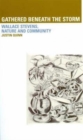 Gathered Beneath the Storm: Wallace Stevens Nature and Community : Wallace Stevens Nature and Community - Book