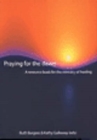 Praying for the Dawn : A Resource Book for the Ministry of Healing - Book