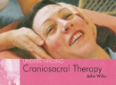 Understanding Craniosacral Therapy : Understanding Craniosacral Therapy - Book