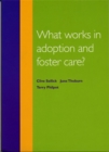 What Works in Adoption and Foster Care? - Book