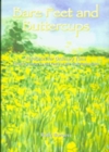 Bare Feet and Buttercups : Resources for Ordinary Time - Book