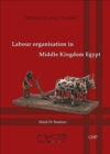 Labour organisation in Middle Kingdom Egypt - Book