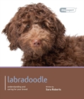 Labradoodle - Dog Expert - Book