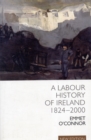 A Labour History of Ireland 1824-2000 - Book