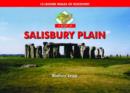 A Boot Up Salisbury Plain : 10 Leisure Walks of Discovery - Book