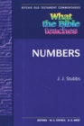 What the Bible Teaches - Numbers - Book