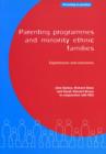 Parenting Programmes and Minority Ethnic Families : Experiences and outcomes - eBook