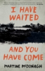 I Have Waited, and You Have Come - eBook