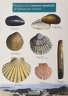 Guide to the Common Seashells of Britain and Ireland - Book