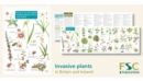 Guide to the non-native invasive plants of Britain and Ireland - Book