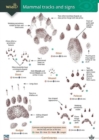 Mammal tracks and signs - Book