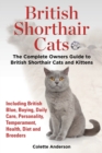 British Shorthair Cats, The Complete Owners Guide to British Shorthair Cats and Kittens Including British Blue, Buying, Daily Care, Personality, Temperament, Health, Diet and Breeders - Book