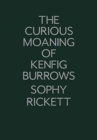 The Curious Moaning of Kenfig Burrows - Book