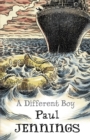 A Different Boy - eBook