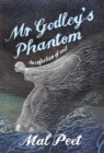 Mr Godley's Phantom - eBook