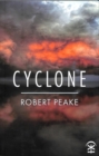 Cyclone - Book