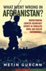 What Went Wrong in Afghanistan? : Understanding Counter-insurgency Efforts in Tribalized Rural and Muslim Environments - eBook