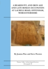 Middle Bronze Age to Middle Iron Age Settlement at New Road, Greenham, West Berkshire - Book