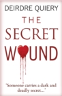 Secret Wound - Book