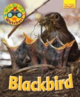 Wildlife Watchers: Blackbird - Book