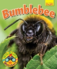 Wildlife Watchers: Bumblebee - Book