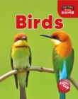 Foxton Primary Science: Birds (Key Stage 1 Science) - Book