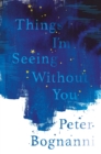 Things I'm Seeing Without You - eBook