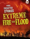 Extreme Fires and Floods - Book