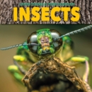 Insects - Book