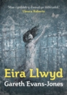 Eira Llwyd - Book