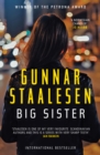 Big Sister - eBook