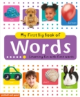 My First Big Book of Words - Book