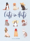 Cats in Hats - Book