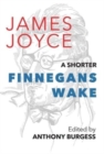 A Shorter Finnegans Wake - Book