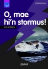 Cyfres Dysgu Difyr: O, Mae Hi'n Stormu - eBook