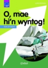 Cyfres Dysgu Difyr: O, Mae Hi'n Wyntog! - eBook
