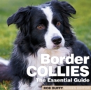 Border Collies : The Essential Guide - eBook
